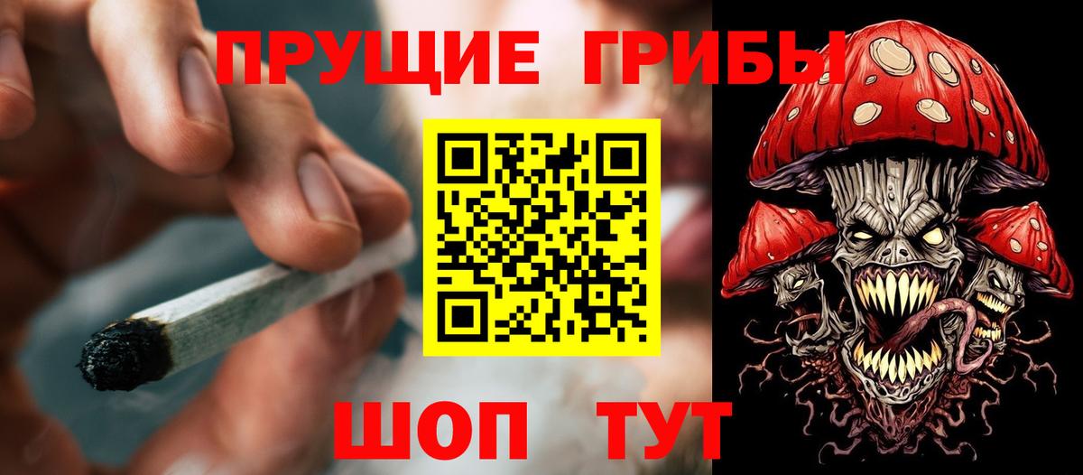 Черногорск  Галлюциногенные грибы прущие грибы  Вход с VPN 