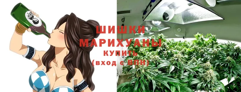 Шишки марихуана ГИДРОПОН  Черногорск 